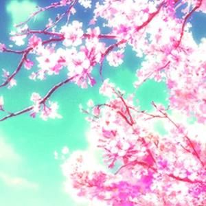 Meet your Posher, Yan